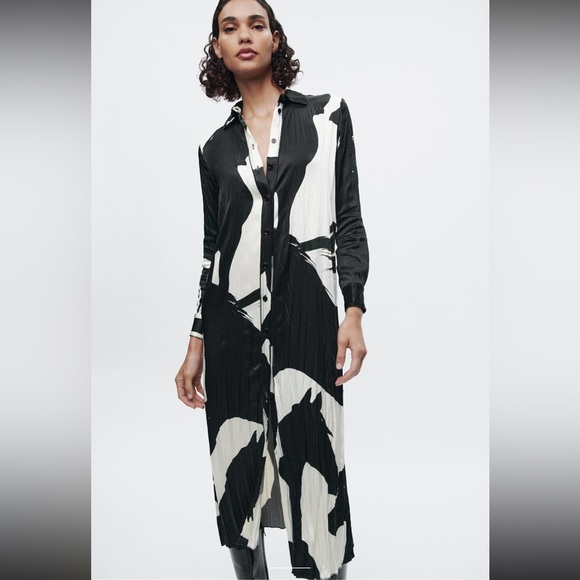 ZARA PRINTED SHIRT DRESS ZW COLLECTION - Picture 6 of 13